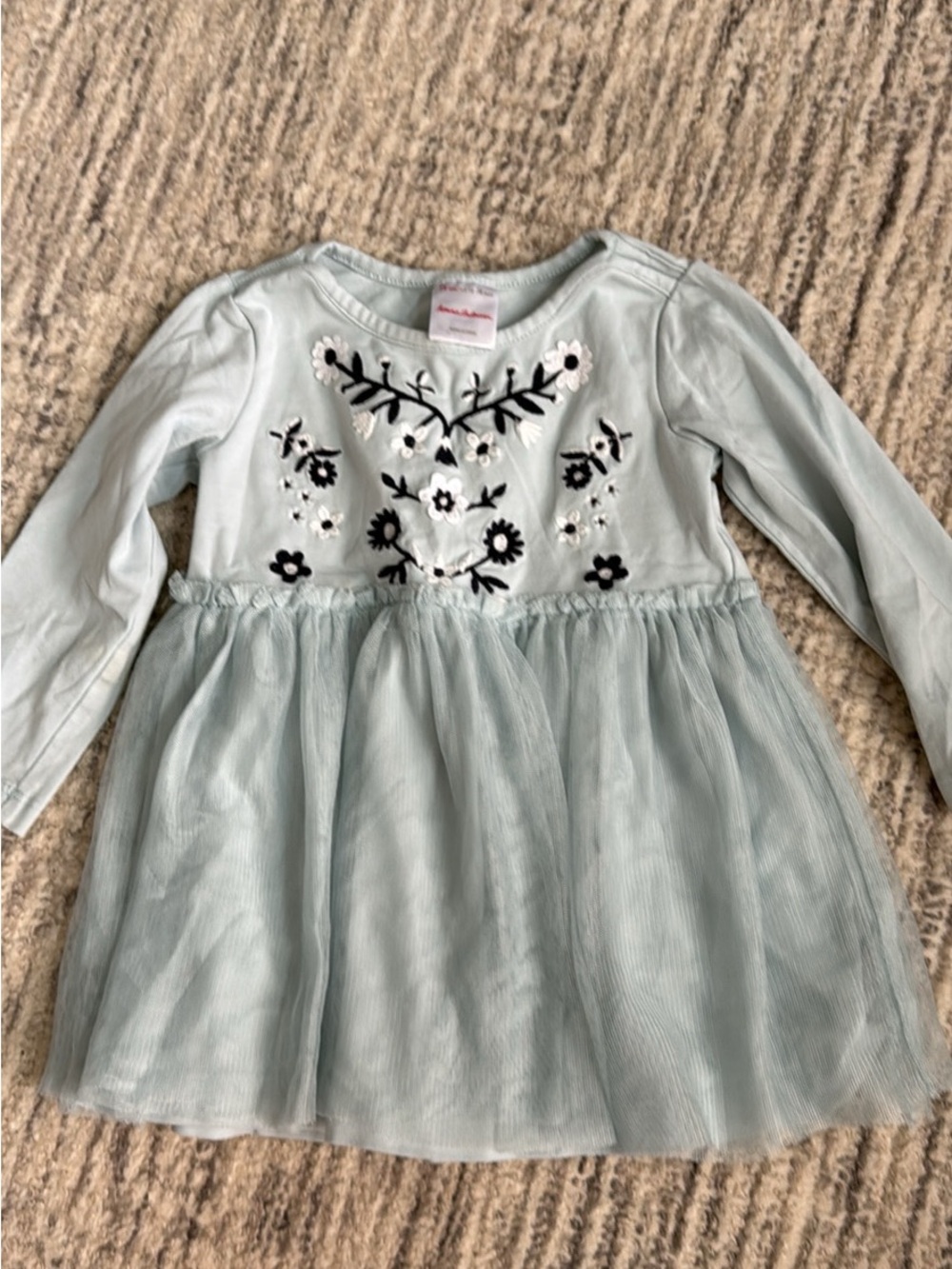 Hanna Andersson Pale Blue Embroidered Tulle Party Dress